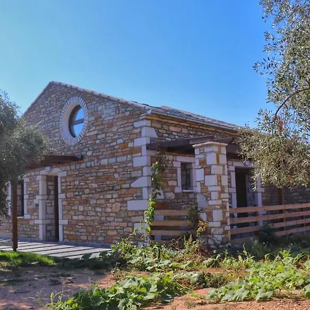 Luminous Sky Appartments