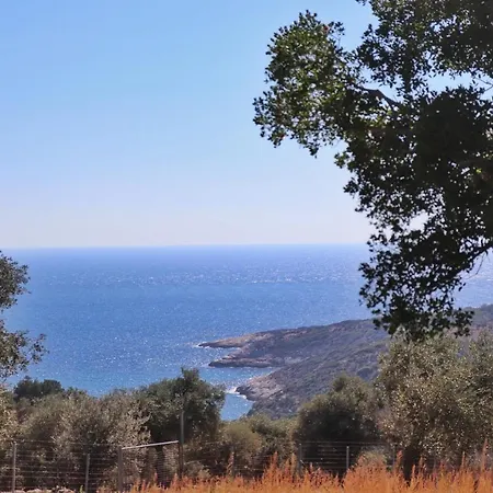 Luminous Sky Appartments 公寓 阿斯特里斯